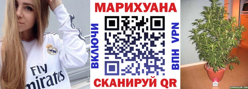 Купить  Каменск-Шахтинский  Конопля индика 
